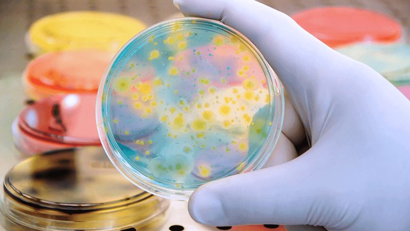 DNA试剂储存缓冲液配方：揭秘其背后的科学奥秘
