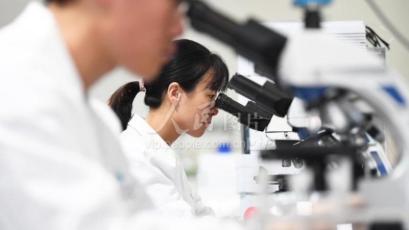 电商CRO策略：构建高效药物研发新路径