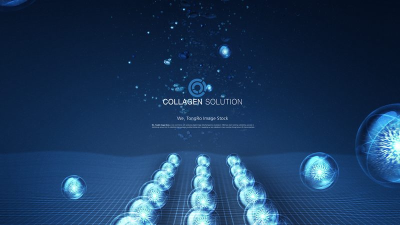 CDMO定制研发：揭秘技术转移流程中的关键步骤