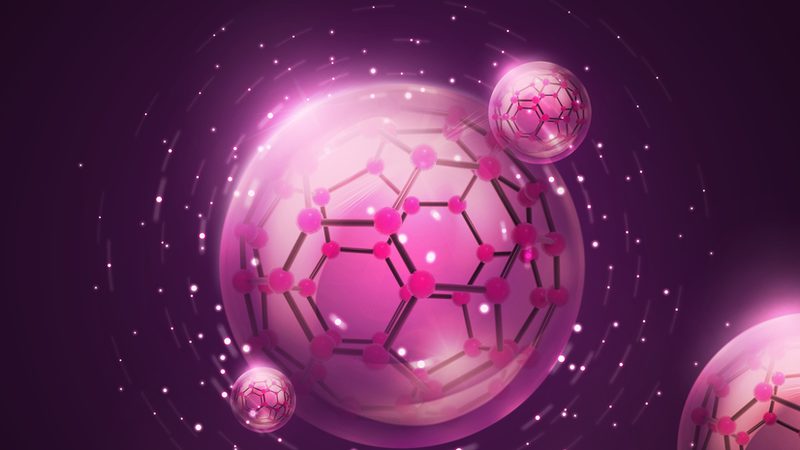 细胞工厂选购：揭秘背后的关键因素