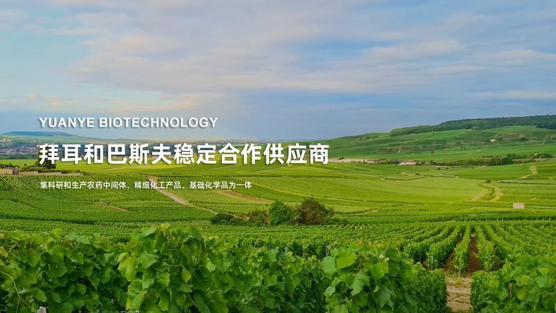 细胞工厂：揭秘高效生产生物药物的奥秘**