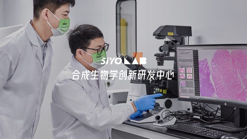 酶促反应步骤，揭秘其背后的生产奥秘**