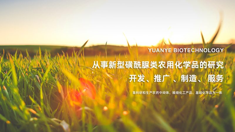 细胞工厂搭建：从蓝图到生产的五大关键步骤