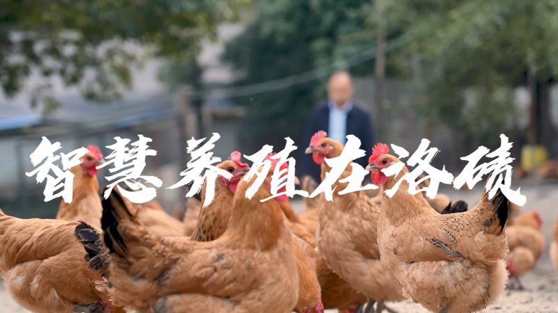 生物科技公司产品报价清单：揭秘报价背后的考量因素**