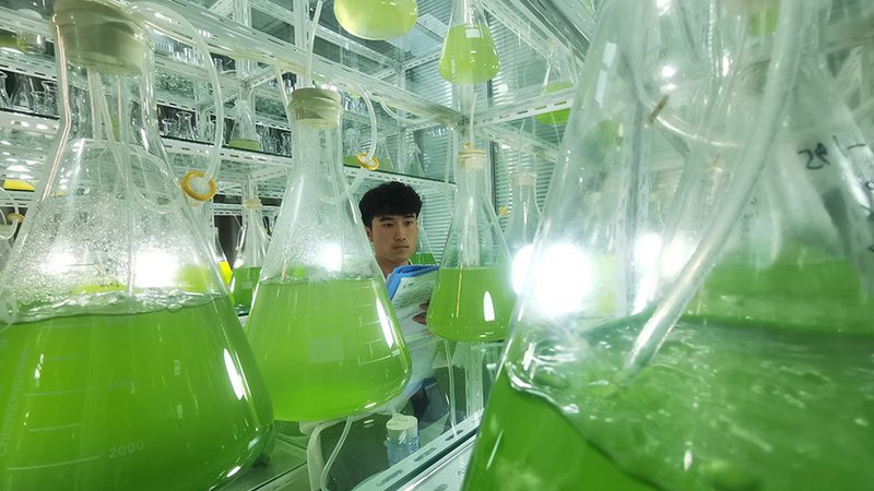 儿童基因检测价格差异背后，哪些因素真正影响结果可靠性